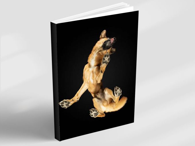 Notebook - My favourite motif