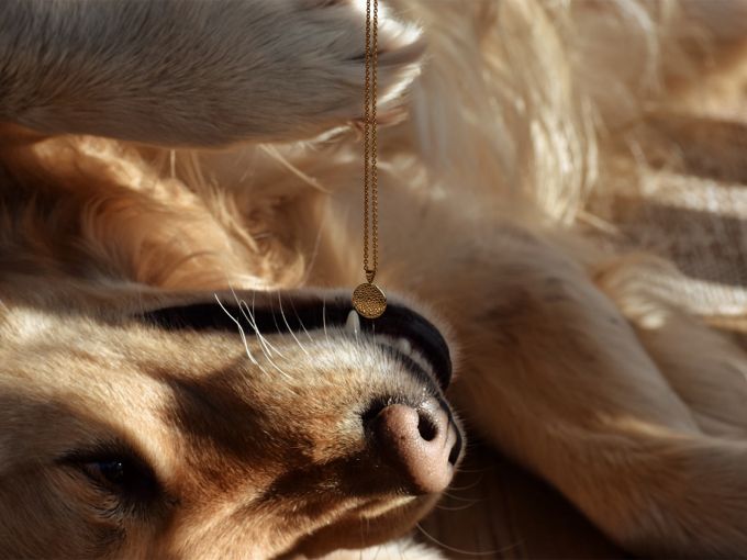 Eternal Bond - Golden Whisper of Love