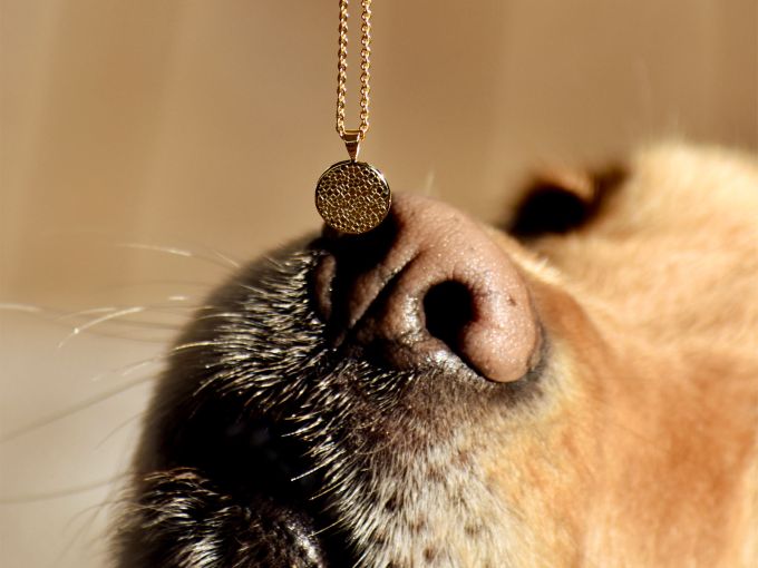 Love's Embrace - Memorial Heart Pendant