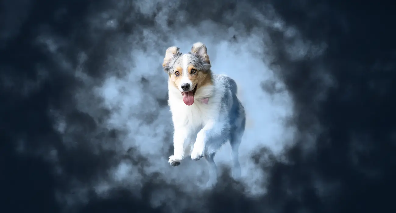 Holi Powder Special Photo Edition