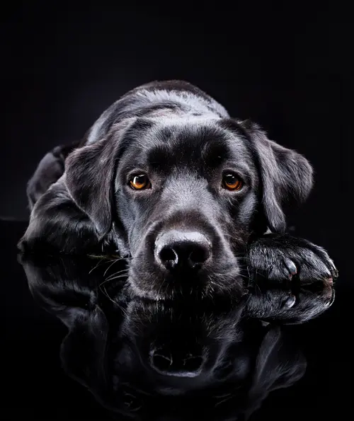 stylesDeepOfDarkness_04-595x500