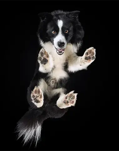 Glass Plate Photography