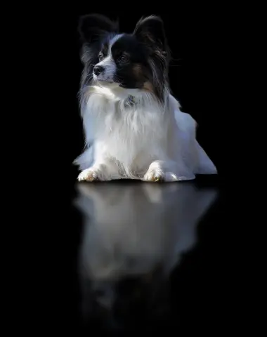 In The Depth Of Darkness