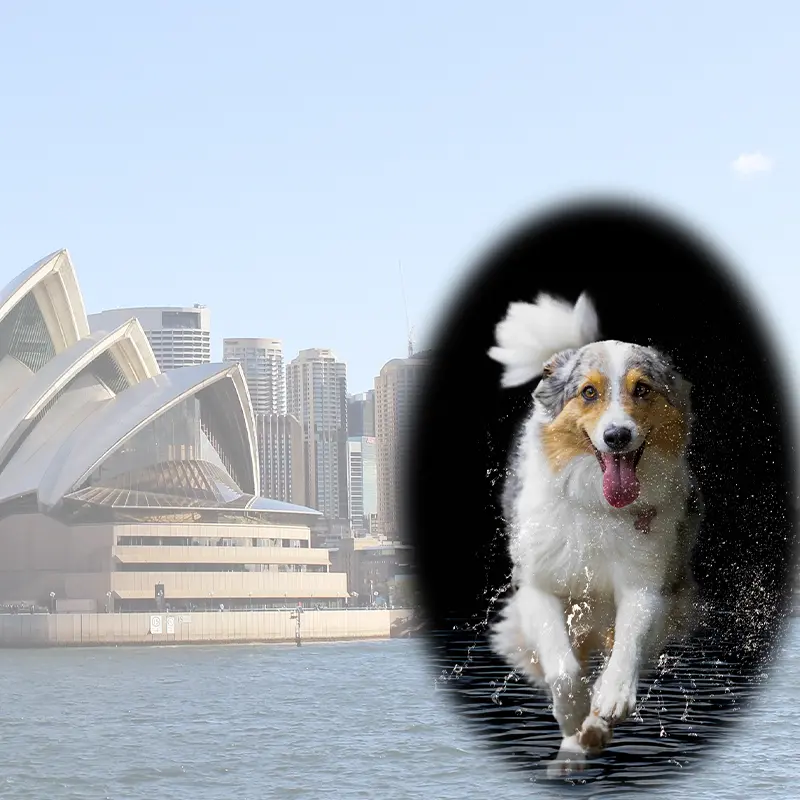 All in one Fotoevent Sydney