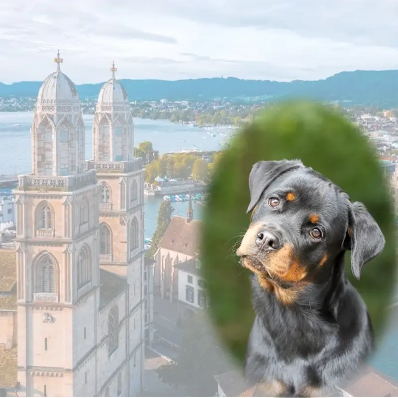 All in one Fotoevent Zürich