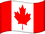 CA Flag